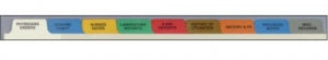 First Healthcare Products Divider Sets - Divider Set, Paper Hospital, Top Opening, 9 Tab - 2081