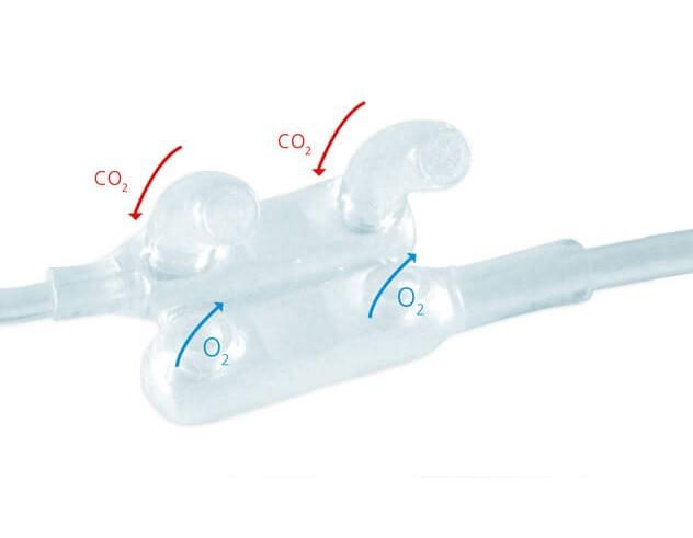 Dual Nasal Cannulas by Flexicare