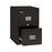 FireKing Patriot Vertical File Cabinet - CABINET, FILE, FIREPRF, VRTCL, 2DRAWER, BLACK - 2P1825-CBL