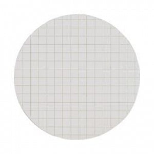 Whatman Grade 8 Filter Papers - Grade 8 Filter Paper, Ruled, 45 mm - 10347004