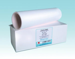 Whatman Protran Nitrocellulose Blotting Membrane - PROTRAN BA85 82MM 50/PK - 10401116