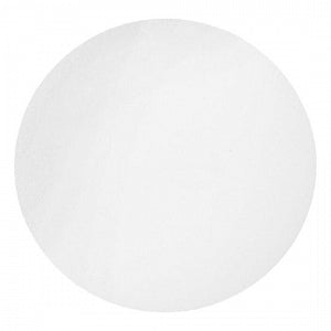 Whatman Nylon Membrane Circles - Nylon Membrane Circle Filter, 90 mm, 0.2 µm - 7402-009