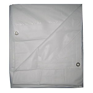 Grainger Polyethylene Tarps - Flame-Resistant Polyethylene Tarp, 10 ft. x 20 ft. - 5WTN1