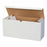 Health Care Logistics Prescription Box - Prescription Box, White - 10196