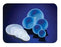 Hospital Disposables Sponge Bowls - Graduated Bowl, 32oz. - 395-1000