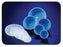 Hospital Disposables Sponge Bowls - Bowl Lids, 80oz., Clear - 395-9250