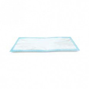 Getinge Dri-Flo Disposable Underpads - Disposable Dri-Flo Underpad, Size XL 32" x 36" - 47001