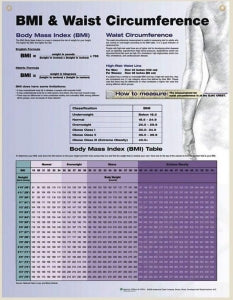 Lippincott Williams BMI & Waist Circumference Charts - Anatomical Chart, BMI and Waist, Laminated - 9780781772273