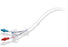 Cr Bard HemoStar Long-Term Hemodialysis Catheter - HemoStar Long-Term Dialysis Catheter, Straight, 14.5 Fr x 19 cm, BioBloc - 5833693