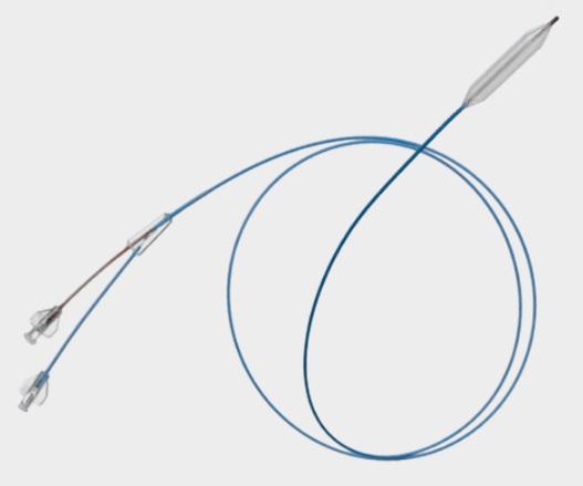 CONQUEST Balloon Dilation Catheters by C