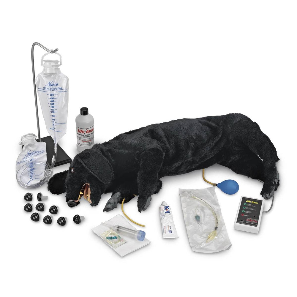 Nasco Company CPR Dog Training Life/form Advanced Ea