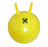  Inflatable Exercise Jump Balls