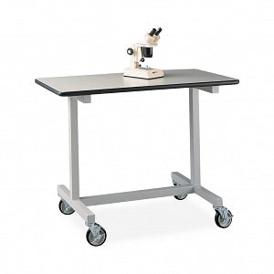 Labconco Corp Mobile Equipment Table with Casters - TABLE, 4' MOBILE EQUIPMENT, W/CASTERS - 3819100