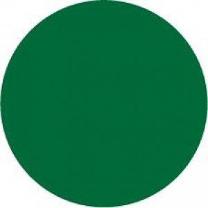 Centurion Centurion General Nursing Labels - Dark Green Circle Permanent General Nursing Label - LD348A