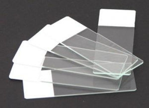 LW Scientific Frosted Blank Slides - 72 WHITE FROSTED BLANK SLIDES - MSS-FRCW-2772