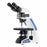 Lw Scientific Innovation Lumin Epi-Fluorescence Binocular Microscope - Innovation Lumin Epi-Fluorescence Binocular Microscope - INS-EPB4-IPL3