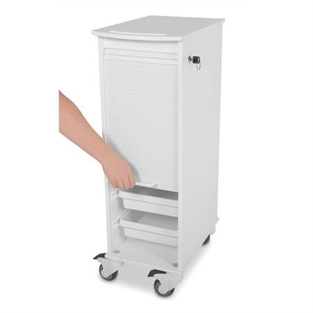 Lockable Storage Carts Lockable Storage Cart