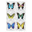 Medibadge Foil Butterflies Stickers - Butterfly Sticker, 75/RL - 2685