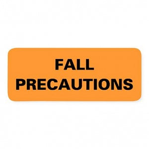 Briggs Chart Labels - Chart Label, Fall Precaution, Large - L-2183