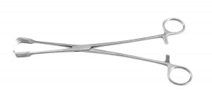 Medline Gordon Vulsellum Forceps - FORCEP, GORDON VULSELLUM, 3:3, STR, 9.5" - MDG2432031