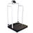 Rice Lake Weighing Systems Bariatric Handrail Scales - Bariatric Digital Handrail Scale, Weight Capacity 1, 000 lb. (450 kg) - 133119