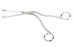 Medline Furst Magill Straight Intubation Forceps - Magill Intubation Forceps, 8" - MDS0419020F