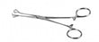 Medline Babcock Tissue Forceps - Babcock Tissue Forceps, Nonsterile, Single-Use, 6.25" - MDS10562