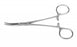 Medline Spencer Wells Hemostatic Forceps - Spencer Wells Hemostatic Forceps, Curved, 6" - MDS1233115