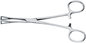 Medline Pennington Tissue Holding Forceps - Pennington Tissue Holding Hemostat Forceps, 8", 20 cm - MDS1235820