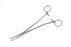 Medline Heaney Uterine Forceps - 9" (22.3 cm) Curved Heaney Uterine Forceps with Double Tooth - MDS1259723