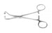 Medline Peers-Bertman Towel Clamps - Peers-Bertman Hemostat Towel Clamp, 5-3/4" - MDS1416514