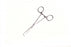 Medline Boys-Allis Tissue Holding Forceps - FORCEP, SEIZING, BOYS-ALLIS, 5X6, 6", 15CM - MDS6414815