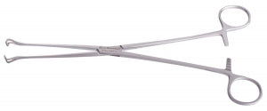 Medline Petit Babcock Tissue Forceps - FORCEP, TISSUE, PETIT BABCOCK, 7.5MM, 9 1/2" - MDS6416024P