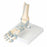 Fabrication Enterprises Foot Skeleton Model - Foot Skeleton Model with Removable Ligaments - 12-4523