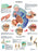 Fabrication Enterprises Inc Laminated Anatomical Charts - CHART, ANATOMICAL, ARTHRITIS, LAMINATED - 12-4605L