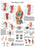 Fabrication Enterprises Inc Laminated Anatomical Charts - CHART, ANATOMICAL, KNEE JOINT, LAMINATED - 12-4611L