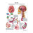 Fabrication Enterprises Inc Laminated Anatomical Charts - CHART, ANATOMICAL, STROKE, LAMINATED - 12-4629L