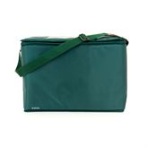 Medication Transport Tote Large - 18"W x 9"D x 13"H - Green