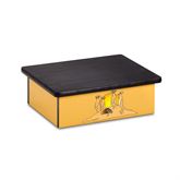 Pediatric Step Stool 16"W x 20"L x 7"H Meerkat Theme