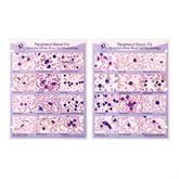 Peripheral Blood Cards Abnormal WBC Morphology Binder Cards