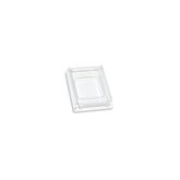 Surgical Disposable Base Mold Medium - 24mmW x 24mmL x 5mmD