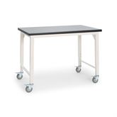 48"W x 30"L Flat Surface Accessioning Bench With Casters