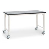 60"W x 30"L Flat Surface Accessioning Bench With Casters