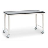 60"W x 30"L Lipped Surface Accessioning Bench With Casters