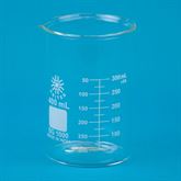 Low Form Glass Beaker 400mL