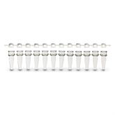 12-Strip PCR Tubes Dome Cap - Clear