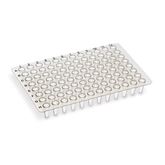 Non-Skirted 96-Well PCR Plate Low Profile