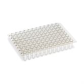 Non-Skirted 96-Well PCR Plate Standard - Clear