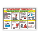 Bloodborne Pathogens Poster