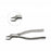 Mopec 32 Extracting Forceps - Extracting Forceps, #32, 7.25" - AB301